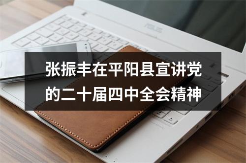 张振丰在平阳县宣讲党的二十届四中全会精神