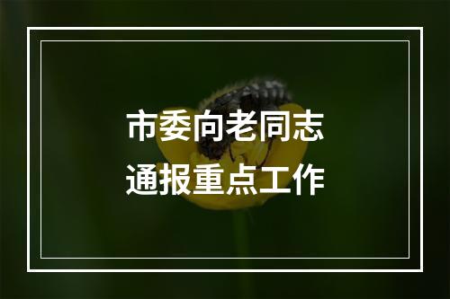 市委向老同志通报重点工作