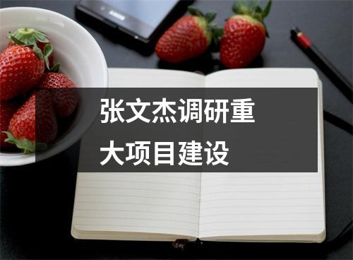 张文杰调研重大项目建设