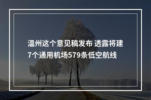 温州这个意见稿发布 透露将建7个通用机场579条低空航线
