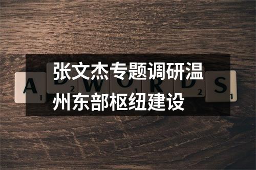 张文杰专题调研温州东部枢纽建设