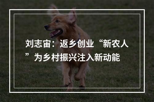 刘志宙：返乡创业“新农人”为乡村振兴注入新动能