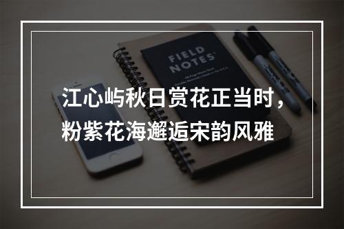 江心屿秋日赏花正当时，粉紫花海邂逅宋韵风雅