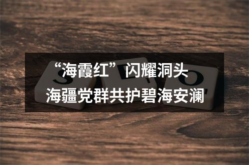 “海霞红”闪耀洞头 海疆党群共护碧海安澜