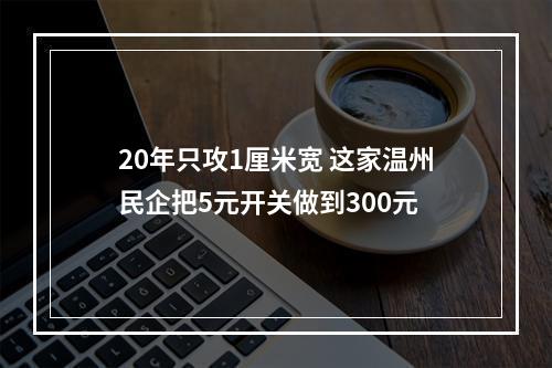 20年只攻1厘米宽 这家温州民企把5元开关做到300元