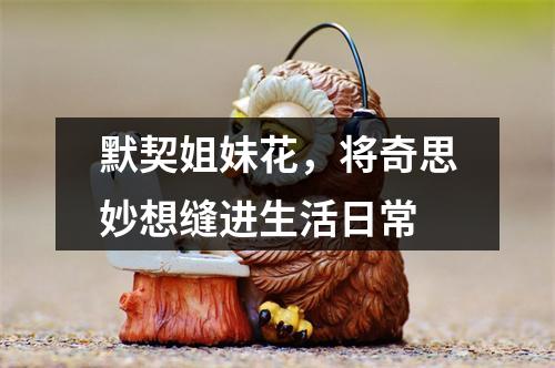 默契姐妹花，将奇思妙想缝进生活日常