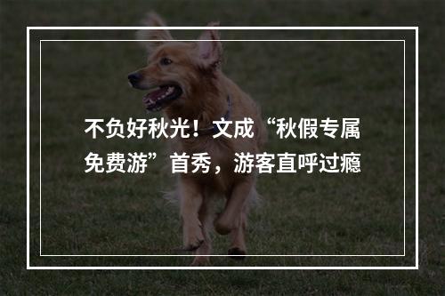 不负好秋光！文成“秋假专属免费游”首秀，游客直呼过瘾