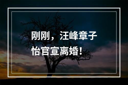 刚刚，汪峰章子怡官宣离婚！