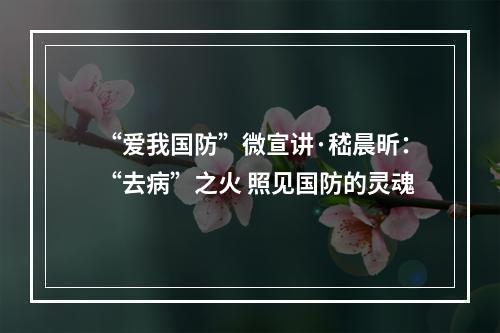 “爱我国防”微宣讲·嵇晨昕：“去病”之火 照见国防的灵魂