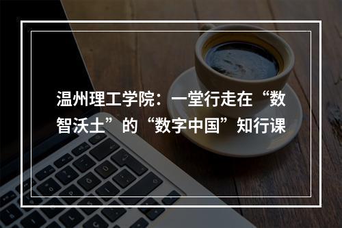 温州理工学院：一堂行走在“数智沃土”的“数字中国”知行课