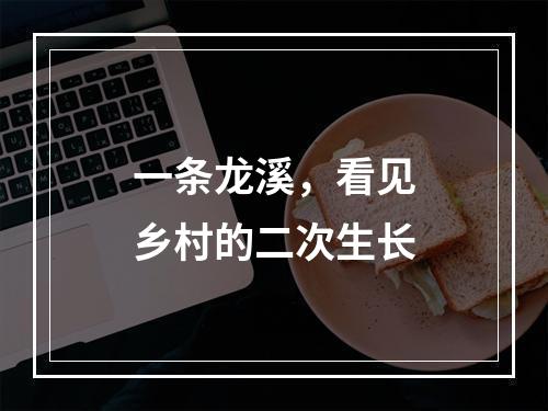 一条龙溪，看见乡村的二次生长