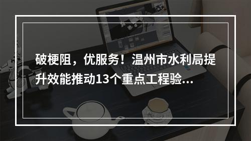 破梗阻，优服务！温州市水利局提升效能推动13个重点工程验收