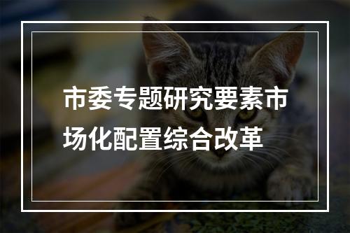 市委专题研究要素市场化配置综合改革