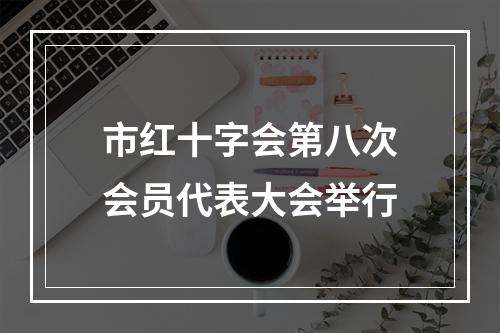市红十字会第八次会员代表大会举行
