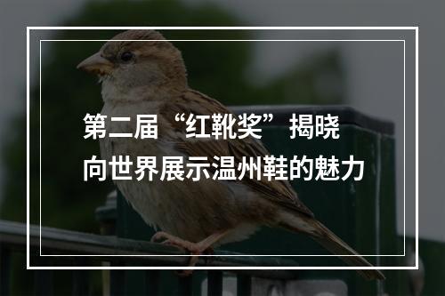 第二届“红靴奖”揭晓 向世界展示温州鞋的魅力