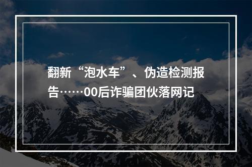 翻新“泡水车”、伪造检测报告……00后诈骗团伙落网记