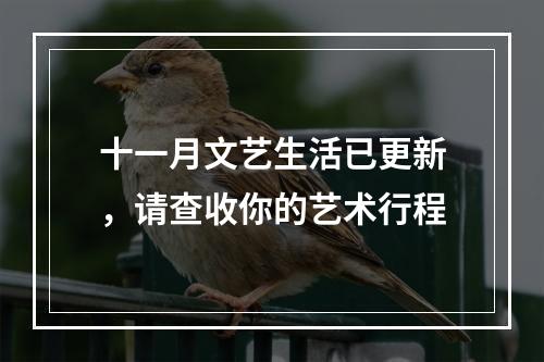 十一月文艺生活已更新，请查收你的艺术行程