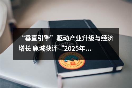 “垂直引擎”驱动产业升级与经济增长 鹿城获评“2025年楼宇经济十大活力城区”