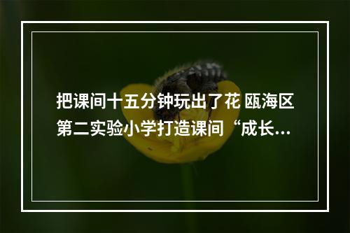 把课间十五分钟玩出了花 瓯海区第二实验小学打造课间“成长乐园”