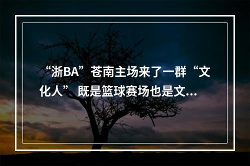 “浙BA”苍南主场来了一群“文化人” 既是篮球赛场也是文化秀场