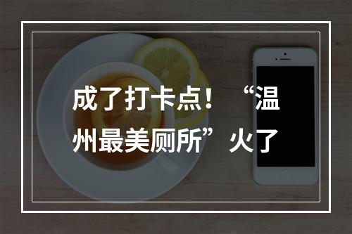 成了打卡点！“温州最美厕所”火了