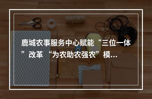 鹿城农事服务中心赋能“三位一体”改革 “为农助农强农”模式全省推广