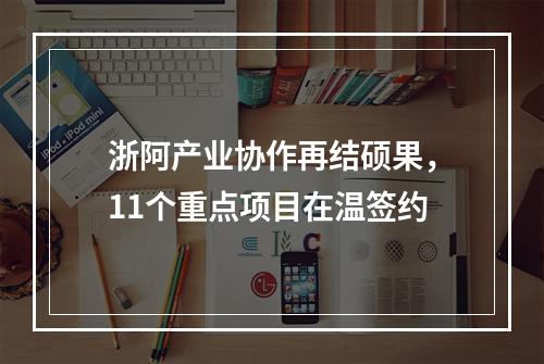 浙阿产业协作再结硕果，11个重点项目在温签约