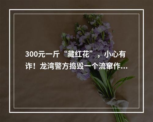 300元一斤“藏红花”，小心有诈！龙湾警方捣毁一个流窜作案的“藏红花”诈骗团伙