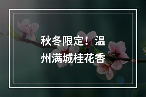 秋冬限定！温州满城桂花香