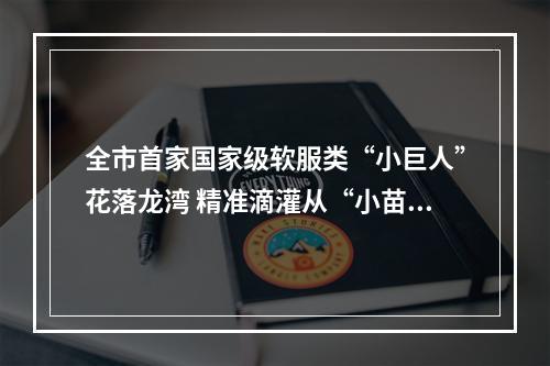 全市首家国家级软服类“小巨人”花落龙湾 精准滴灌从“小苗”起呵护