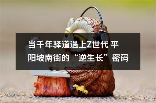 当千年驿道遇上Z世代 平阳坡南街的“逆生长”密码