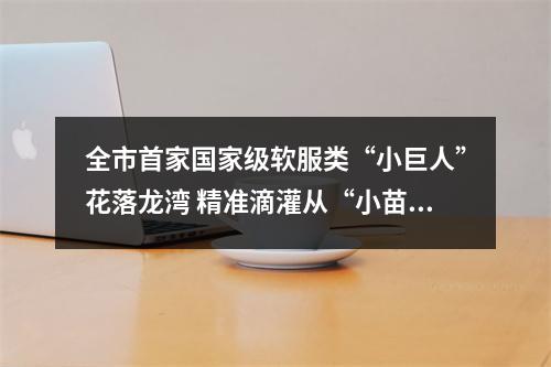 全市首家国家级软服类“小巨人”花落龙湾 精准滴灌从“小苗”起呵护