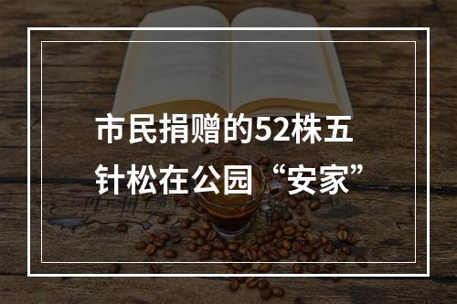 市民捐赠的52株五针松在公园“安家”