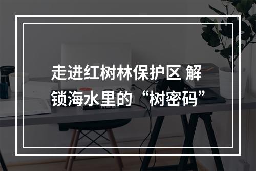 走进红树林保护区 解锁海水里的“树密码”