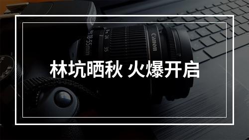 林坑晒秋 火爆开启