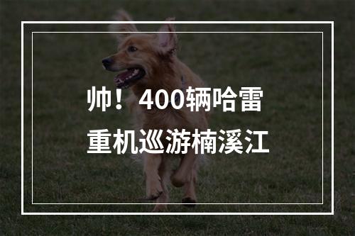 帅！400辆哈雷重机巡游楠溪江
