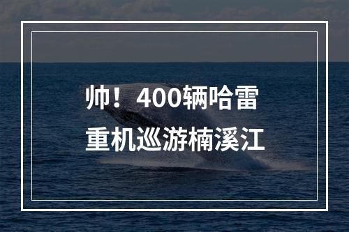 帅！400辆哈雷重机巡游楠溪江