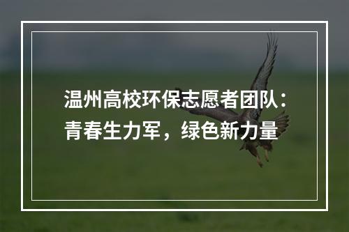 温州高校环保志愿者团队：青春生力军，绿色新力量