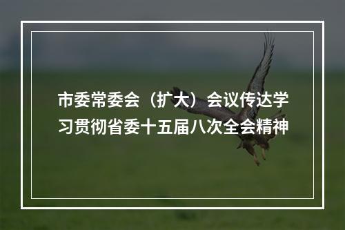市委常委会（扩大）会议传达学习贯彻省委十五届八次全会精神