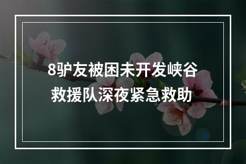 8驴友被困未开发峡谷 救援队深夜紧急救助