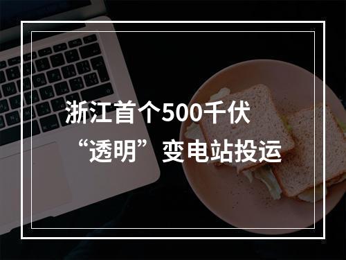浙江首个500千伏“透明”变电站投运