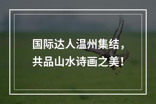国际达人温州集结，共品山水诗画之美！