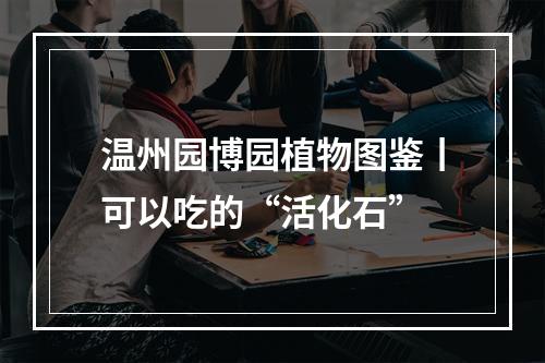 温州园博园植物图鉴丨可以吃的“活化石”