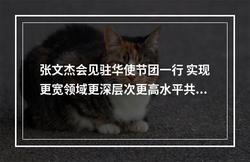 张文杰会见驻华使节团一行 实现更宽领域更深层次更高水平共赢发展