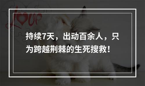 持续7天，出动百余人，只为跨越荆棘的生死搜救！