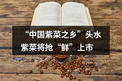 “中国紫菜之乡”头水紫菜将抢“鲜”上市