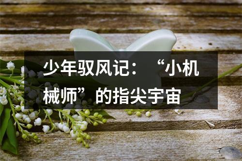 少年驭风记：“小机械师”的指尖宇宙
