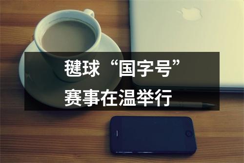 毽球“国字号”赛事在温举行