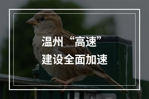 温州“高速”建设全面加速