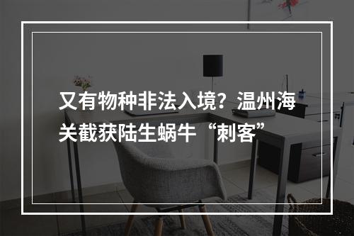 又有物种非法入境？温州海关截获陆生蜗牛“刺客”